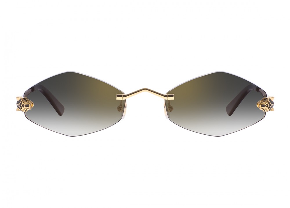 Очки Cartier 0433S 001